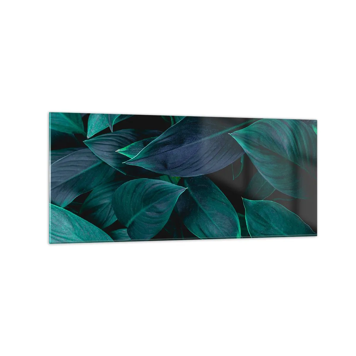 Obraz na szkle - Zbliżenie na zielone liście z ciemnym tłem - 120x50cm - Zieleń sama w sobie - Nowoczesna dekoracja ścienna do salonu i sypialni ARTTOR