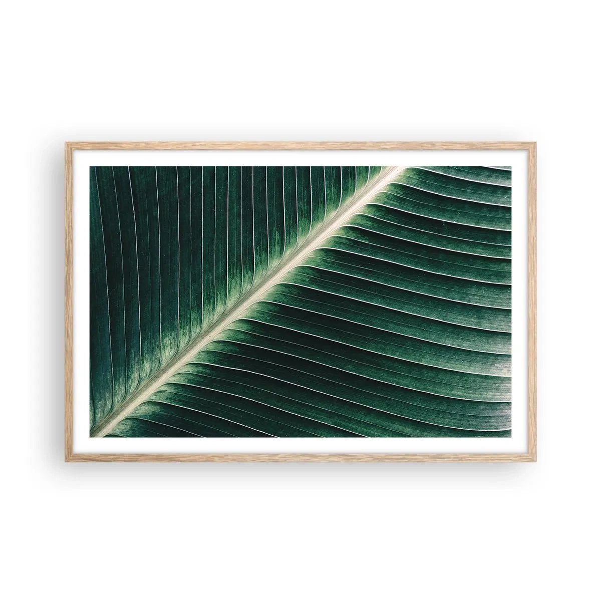 Plakat w ramie jasny dąb - Rytm natury - 91x61 cm