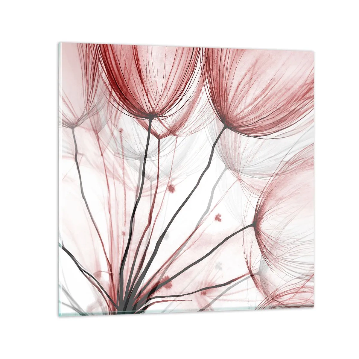 Obraz na szkle - Przed odlotem - 50x50 cm