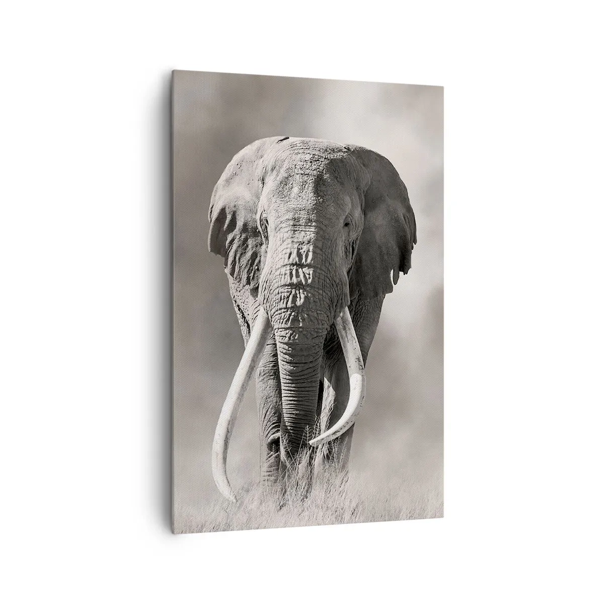 Obraz na płótnie - Monochromatyczny portret majestatycznego słonia afrykańskiego na sawannie - 80x120cm - Afrykański patriarcha - Nowoczesna dekoracja ścienna do salonu i sypialni ARTTOR
