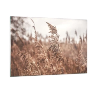 Obraz na szkle - Suszone trawy na wietrze w jesiennym świetle natury - 120x80cm - Na polach już jesień - Nowoczesna dekoracja ścienna do salonu, kuchni i sypialni ARTTOR