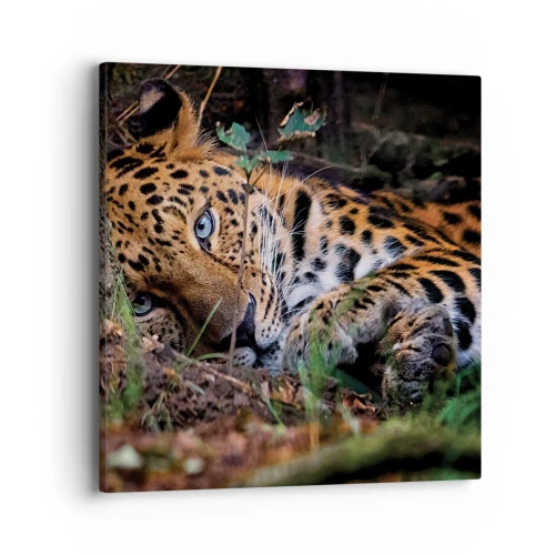 Obraz na płótnie - Zaufaj mi - 40x40 cm