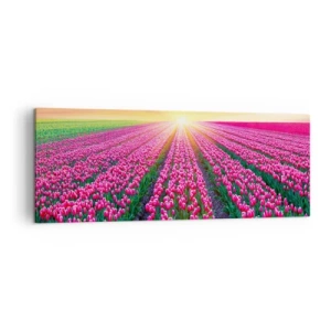 Obraz na płótnie - Pole tulipanów o zachodzie słońca - 140x50cm - Farma piękności - Nowoczesna dekoracja ścienna do salonu i sypialni ARTTOR
