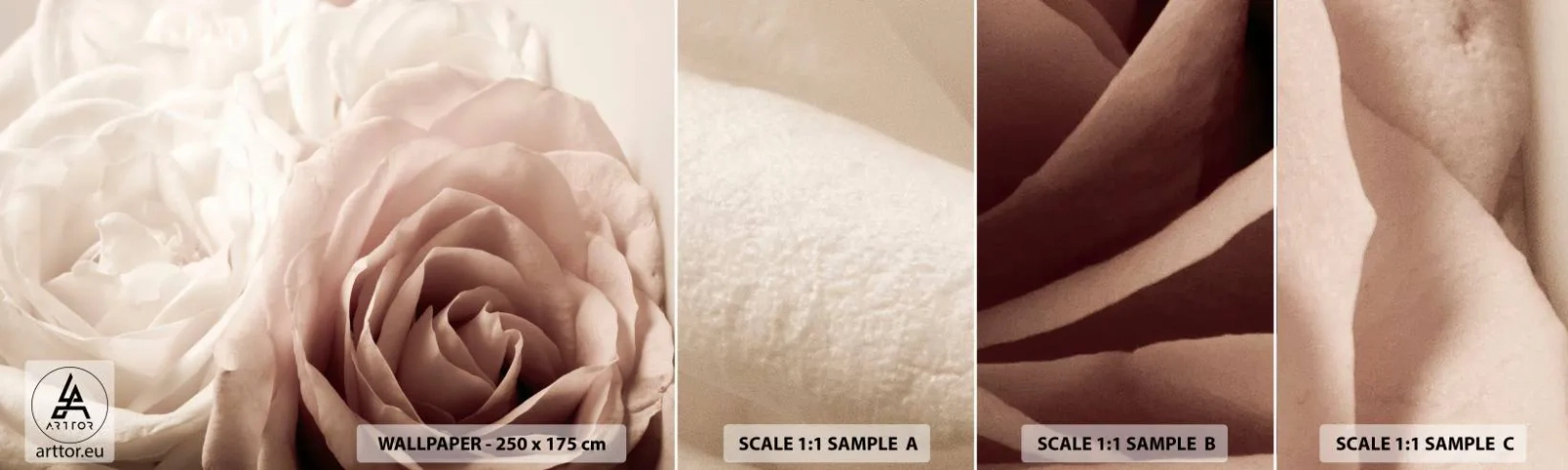 Fototapeta Próbka Samoprzylepna Deluxe Sticker - W sercu róży - Róże, Kwiaty, Romantyczny - 100x30 cm