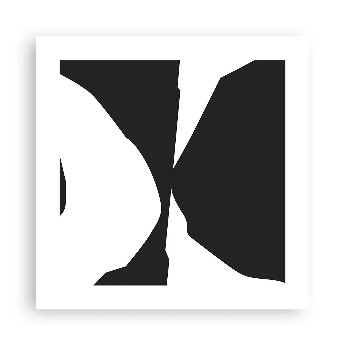 Plakat - Pozytyw -negatyw - 40x40 cm