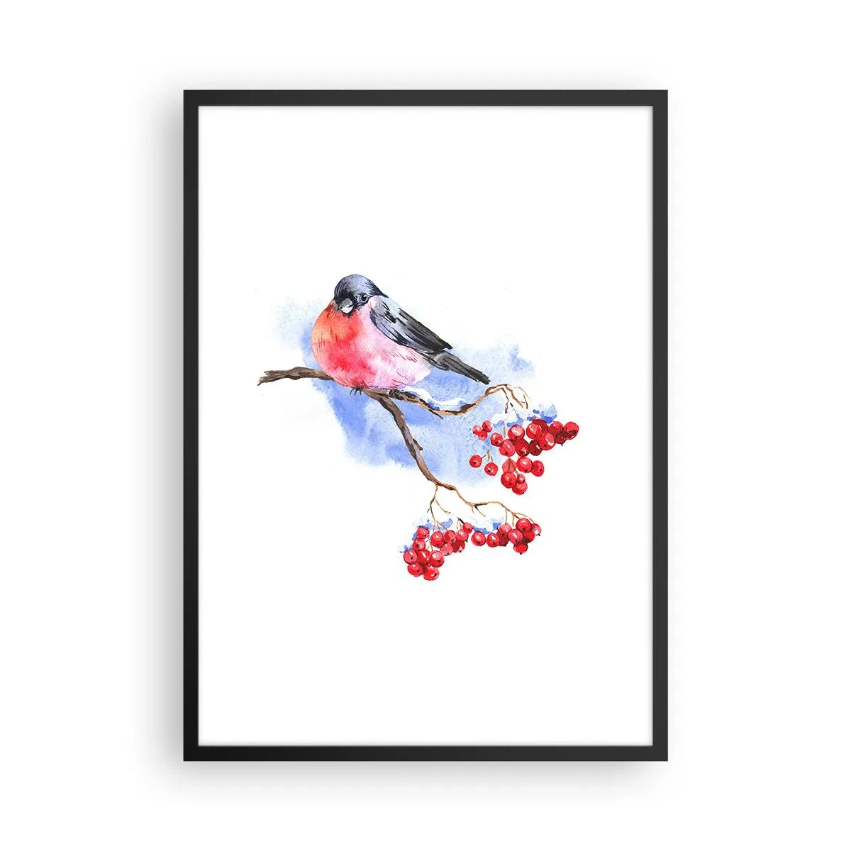 Plakat w czarnej ramie - Ptak na gałęzi z czerwonymi owocami - 50x70cm - Zima w kolorze - Nowoczesna dekoracja ścienna do salonu i sypialni ARTTOR