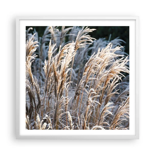 Plakat w białej ramie - Szronem ustrojone - 60x60 cm