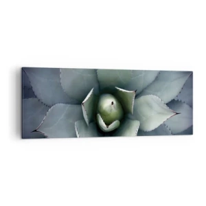 Obraz na płótnie - Zbliżenie na rozetę agawy w delikatnych odcieniach zieleni - 140x50cm - Wabi i przestrzega - Nowoczesna dekoracja ścienna do salonu i sypialni ARTTOR