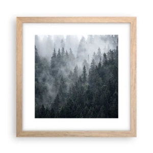 Plakat w ramie jasny dąb - Leśny świt - 30x30 cm