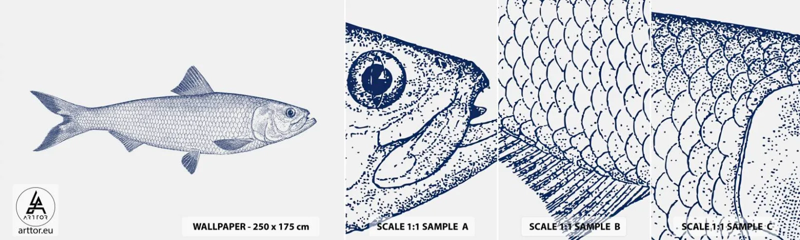 Fototapeta Próbka Samoprzylepna Deluxe Sticker - Pozdrowienia z północnych mórz - Ryba, Zwierzę Morskie, Styl Nadmorski - 100x30 cm