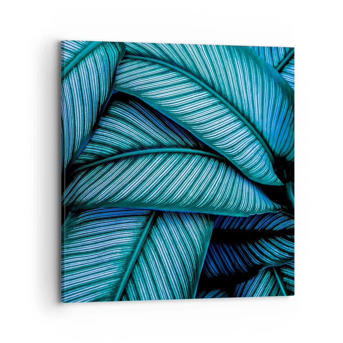 Obraz na płótnie - Linie życia - 70x70 cm