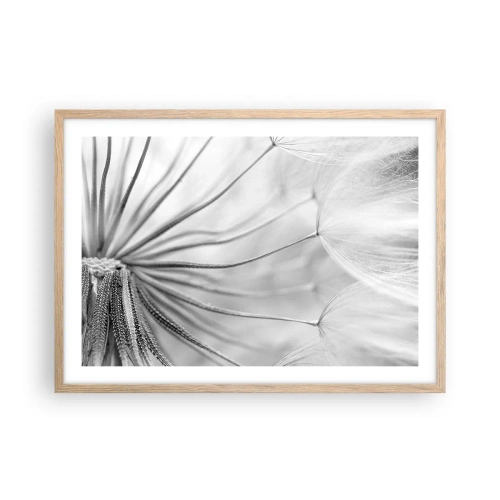 Plakat w ramie jasny dąb - Dmuchawce, latawce - 70x50 cm