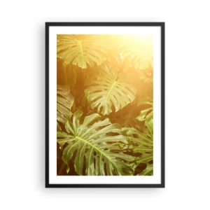 Plakat w czarnej ramie - Liście monstery w promieniach słońca tworzące tropikalny klimat - 50x70cm - W zieloność wstąpić… - Nowoczesna dekoracja ścienna do salonu i sypialni ARTTOR