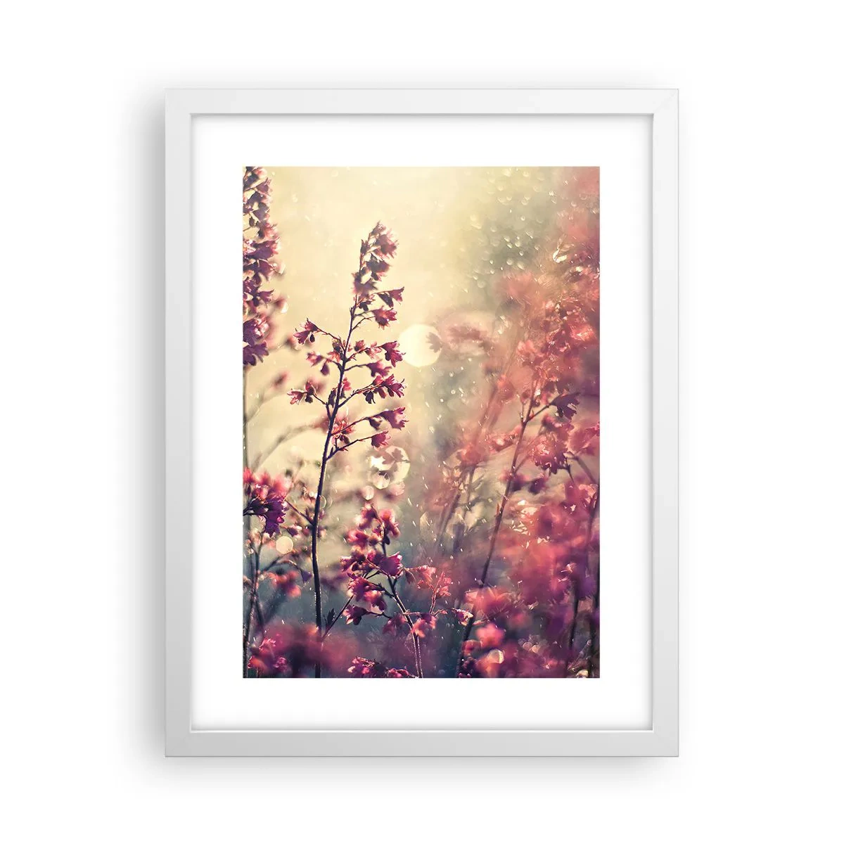 Plakat w białej ramie - Tajemniczy ogród - 30x40 cm