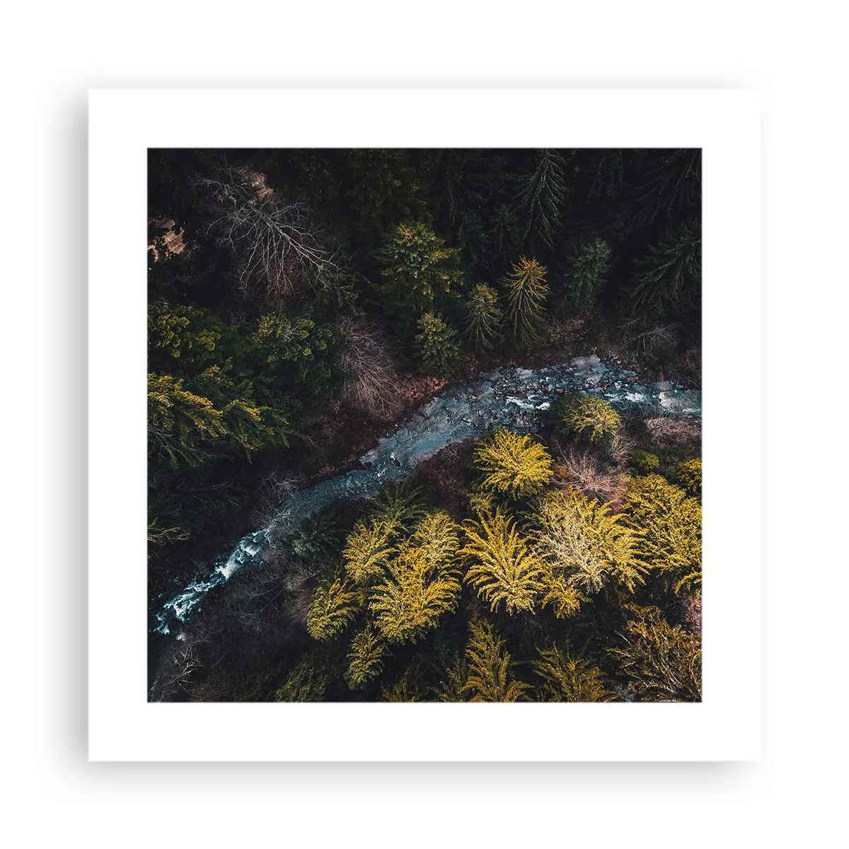 Plakat - Szybko, coraz szybciej - 40x40 cm