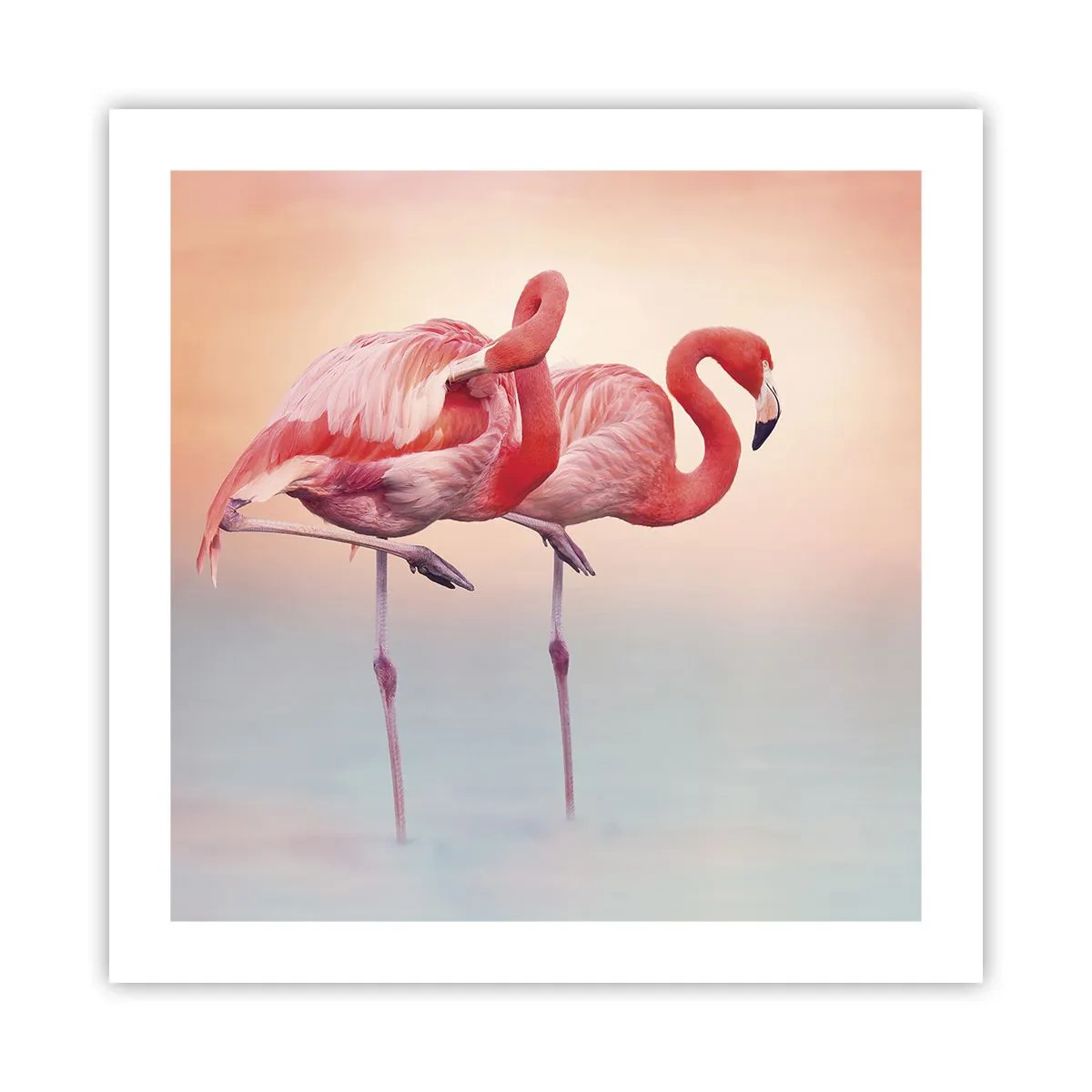 Plakat - W kolorze zachodzącego słońca - 50x50 cm