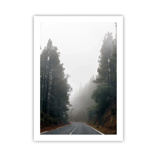 Plakat - Kręta droga wśród drzew spowita mgłą - 50x70cm - Opowieść magicznego lasu - Nowoczesna dekoracja ścienna do salonu, kuchni i sypialni ARTTOR
