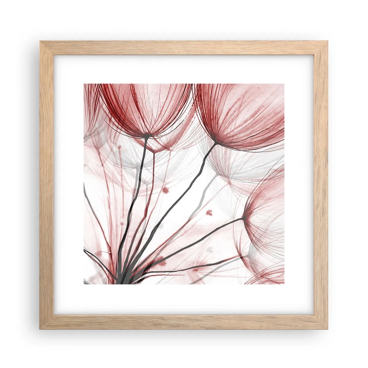 Plakat w ramie jasny dąb - Przed odlotem - 30x30 cm