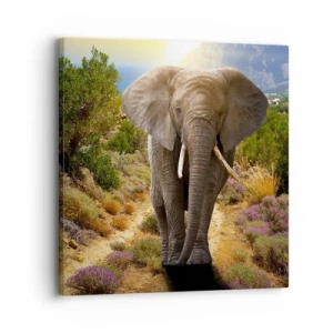 Obraz na płótnie - Tak wyglądał Eden - 30x30 cm