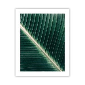 Plakat - Rytm natury - 40x50 cm