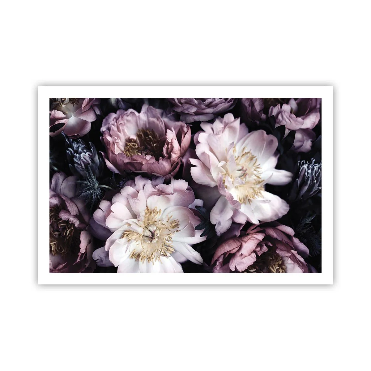 Plakat - Bukiet w dawnym stylu - 91x61 cm