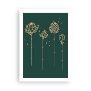 Plakat - Złote kontury kwiatów na ciemnozielonym tle - 50x70cm - Rodzina ZIÓŁkowskich - Nowoczesna dekoracja ścienna do salonu, kuchni i sypialni ARTTOR