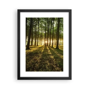 Plakat w czarnej ramie - Fotografia wszystkich wiosen - 30x40 cm
