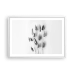Plakat w białej ramie - Jej puszystość trawa - 70x50 cm