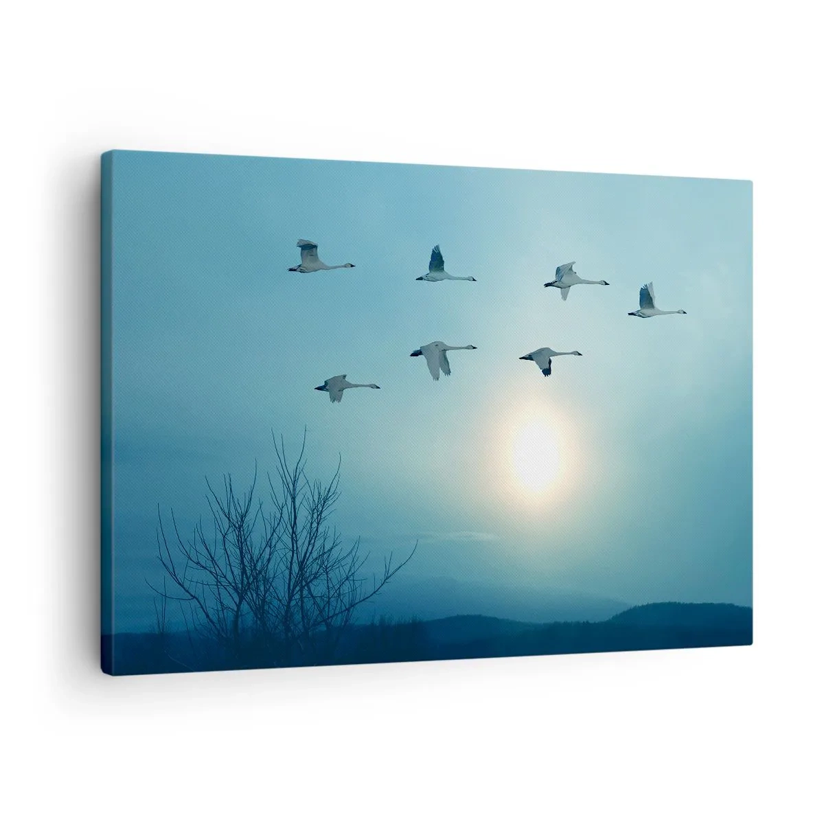 Obraz na płótnie - Lecące łabędzie o poranku - 70x50cm - Żegnaj lato na rok - Nowoczesna dekoracja ścienna do salonu i sypialni ARTTOR