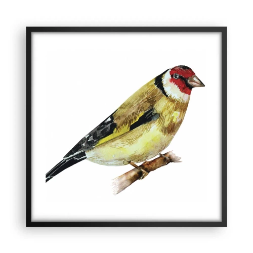 Plakat w czarnej ramie - Ptasi portret - 50x50 cm
