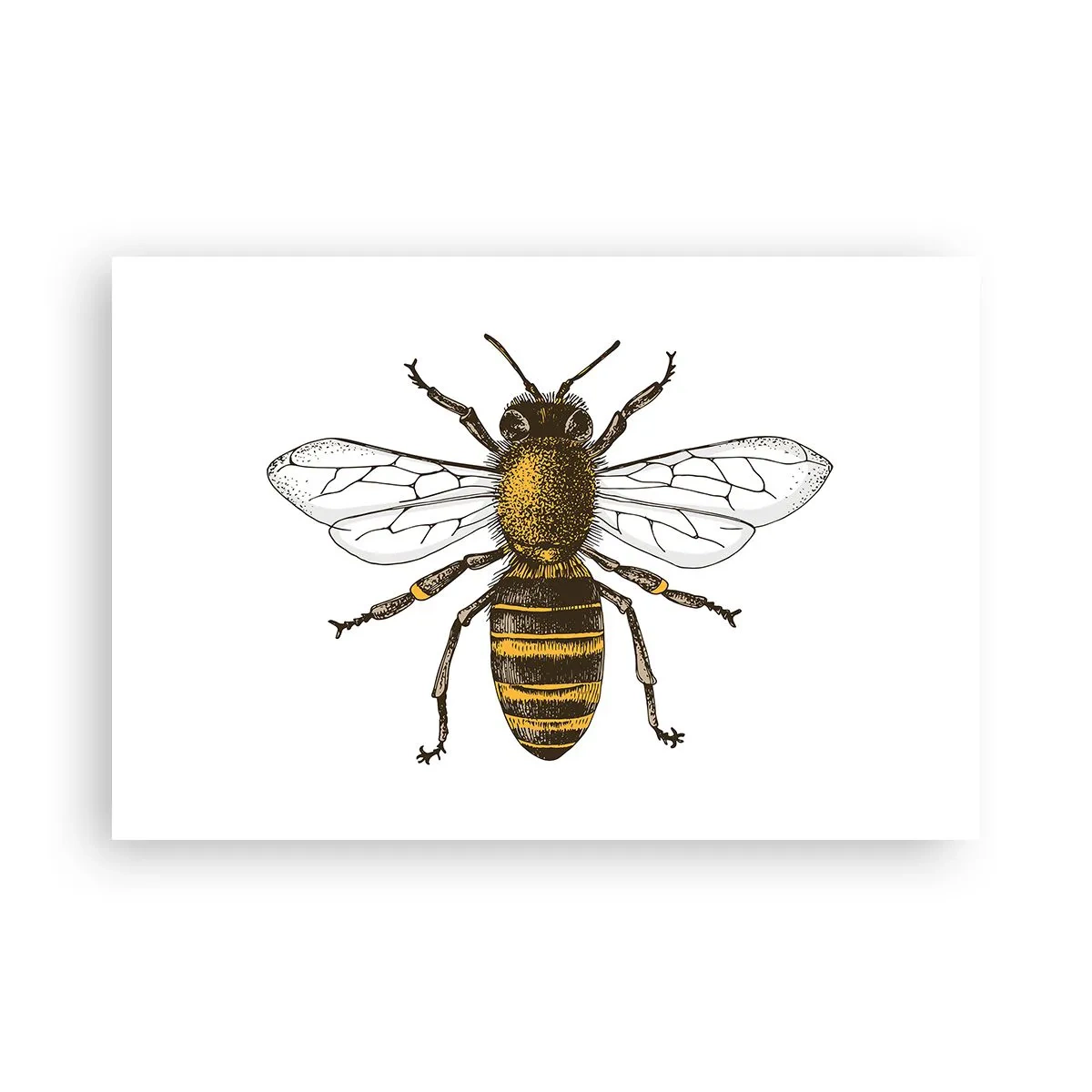 Plakat - Piękna i dobra - 91x61 cm