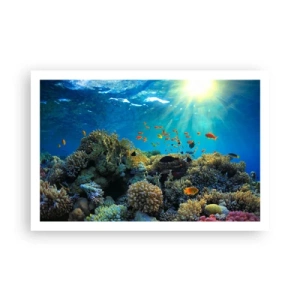 Plakat - Podwodne skarby - 91x61 cm