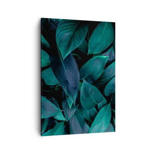 Obraz na płótnie - Gęste, ciemnozielone liście na czarnym tle w efektownym oświetleniu - 50x70cm - Zieleń sama w sobie - Nowoczesna dekoracja ścienna do salonu, kuchni i sypialni ARTTOR