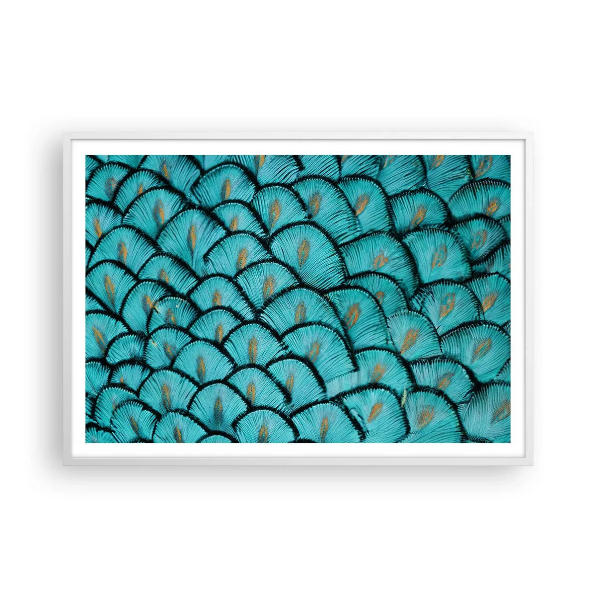 Plakat w białej ramie - Wielka gala piór - 100x70 cm