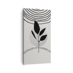 Obraz na płótnie - Kompozycja: rytuały natury - 65x120 cm