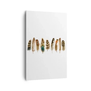 Obraz na płótnie - Dekoracyjny motyw kolekcji różnorodnych piór - 80x120cm - Pierzasta wariacja - Nowoczesna dekoracja ścienna do salonu i sypialni ARTTOR