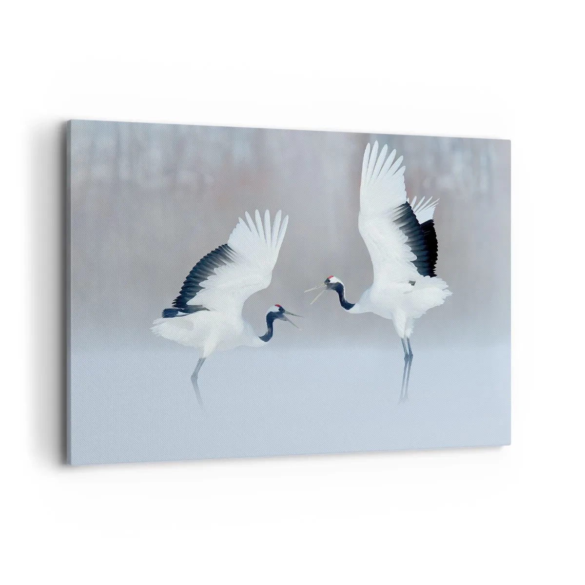 Obraz na płótnie - Dwa żurawie tańczące w mglistej scenerii - 120x80cm - Taniec we mgle - Nowoczesna dekoracja ścienna do salonu, kuchni i sypialni ARTTOR