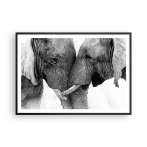 Plakat w czarnej ramie - Dwa słonie w czułym geście na monochromatycznym tle - 100x70cm - Serdeczne wyznanie - Nowoczesna dekoracja ścienna do salonu i sypialni ARTTOR