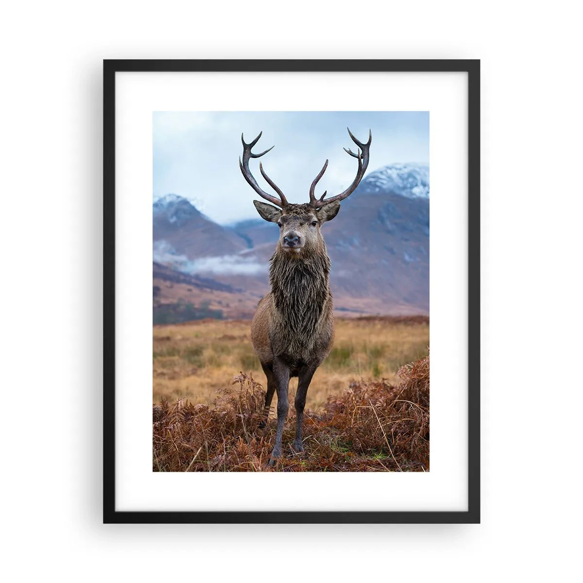 Plakat w czarnej ramie - Na własnej ziemi - 40x50 cm