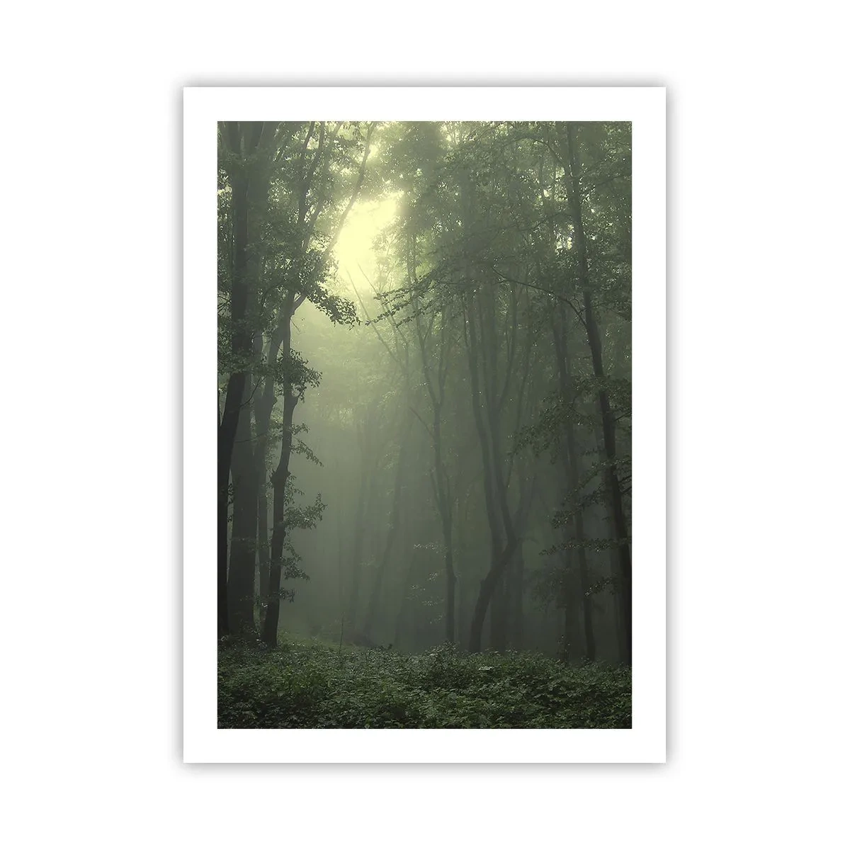 Plakat - Mgliste drzewa w zielonym lesie - 50x70cm - Zanim się obudzi - Nowoczesna dekoracja ścienna do salonu, kuchni i sypialni ARTTOR
