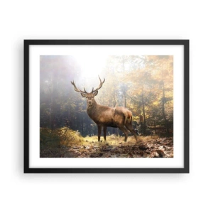 Plakat w czarnej ramie - W pełnym majestacie - 50x40 cm