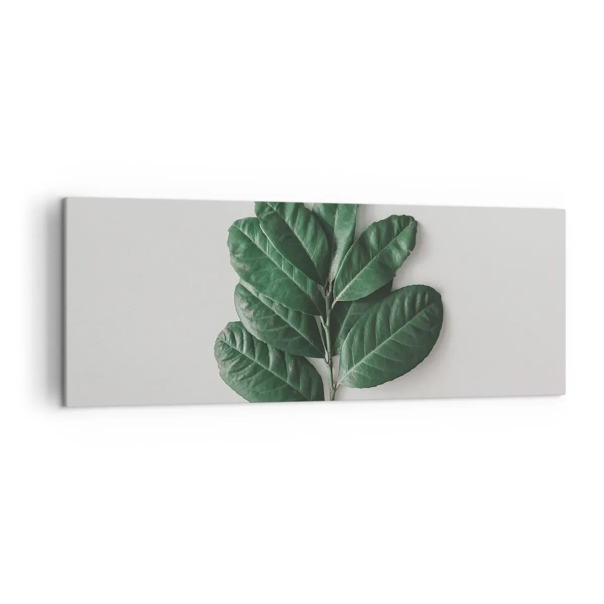 Obraz na płótnie - Gałązka zielonych liści na jasnym tle - 140x50cm - Rysunek samej natury - Nowoczesna dekoracja ścienna do salonu i sypialni ARTTOR
