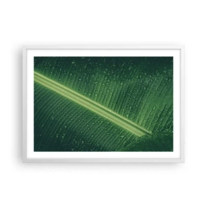 Plakat w białej ramie - Struktura zieleni - 70x50 cm