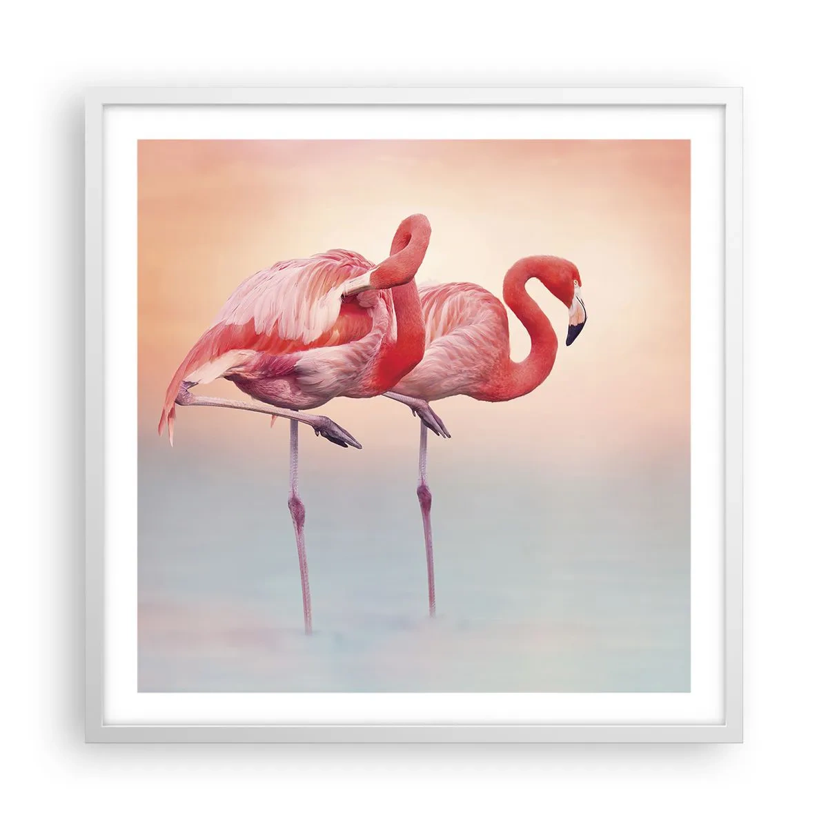 Plakat w białej ramie - W kolorze zachodzącego słońca - 60x60 cm