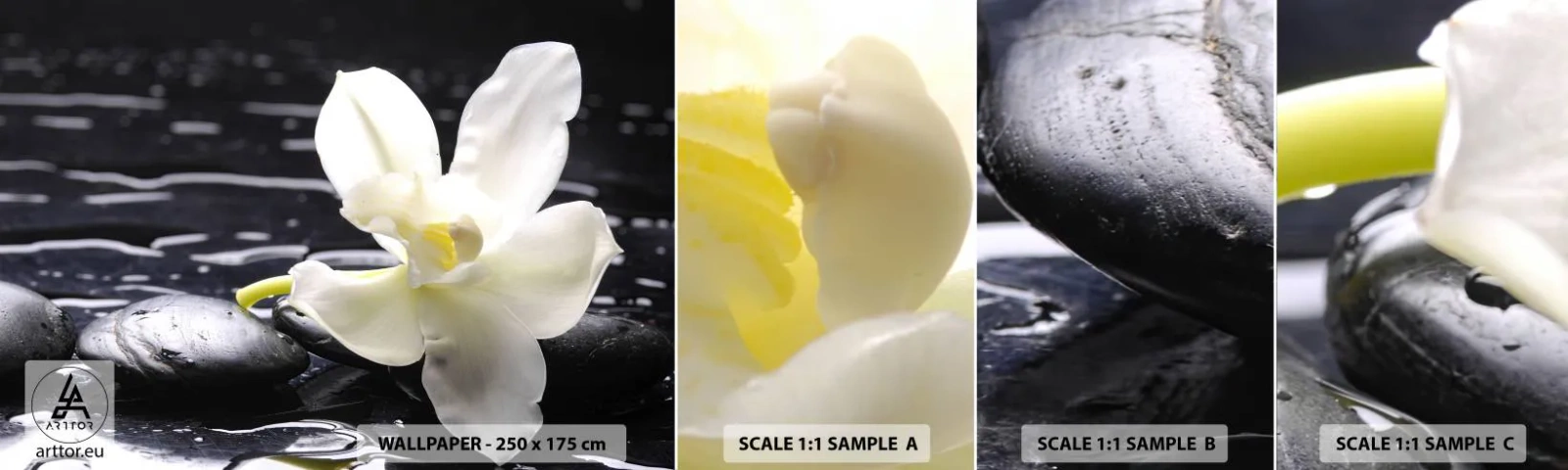 Fototapeta Próbka Standard Eco - Studium w czerni i bieli - Kwiaty, Kamienie, Storczyk - 100x30 cm