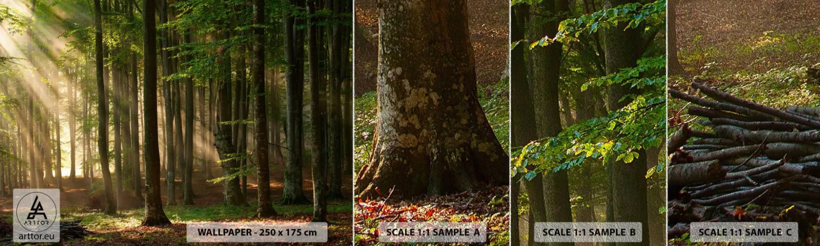 Fototapeta Próbka Premium Sand - Rozpromieniony w wiosenny poranek - Krajobraz, Las, Park - 100x30 cm