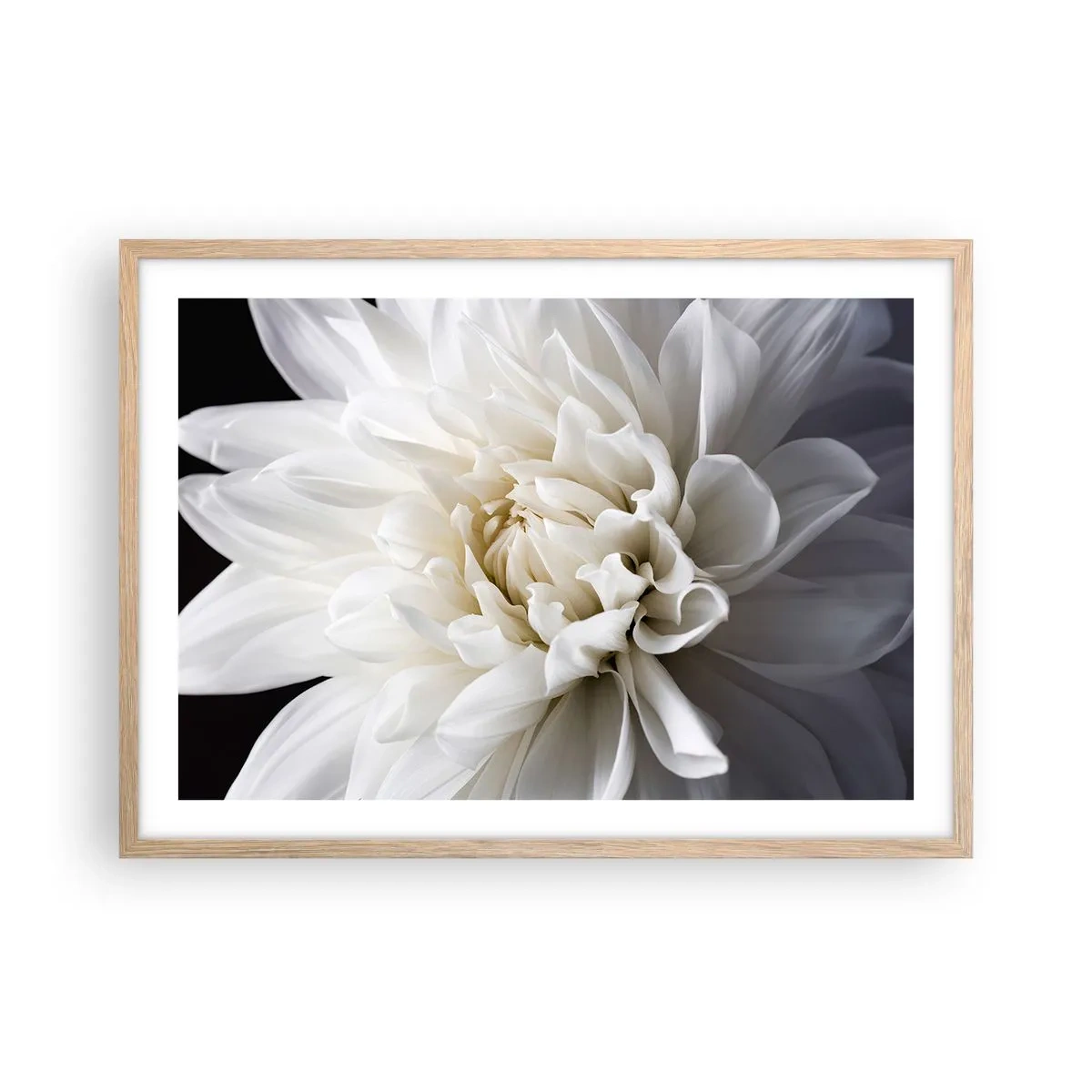 Plakat w ramie jasny dąb - Poranek Panny Młodej - 70x50 cm