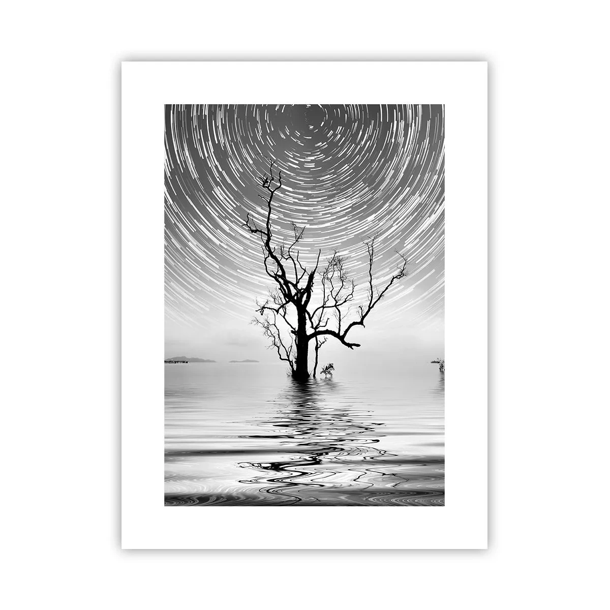 Plakat - Symfonia natury - 30x40 cm