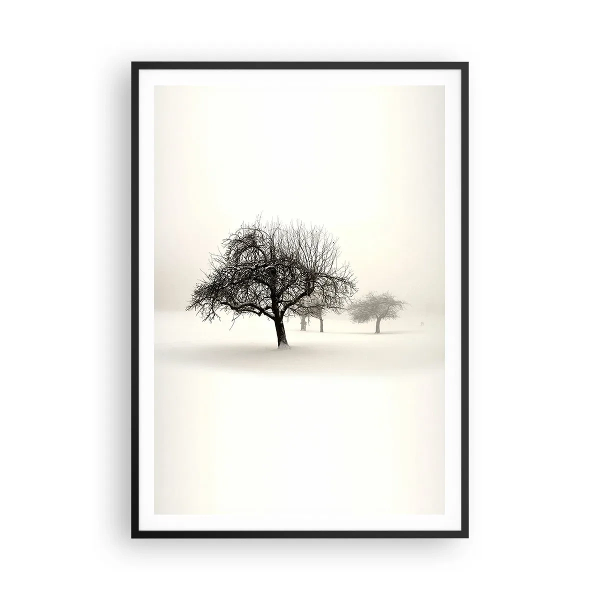 Plakat w czarnej ramie - Zimowy sen - 70x100 cm