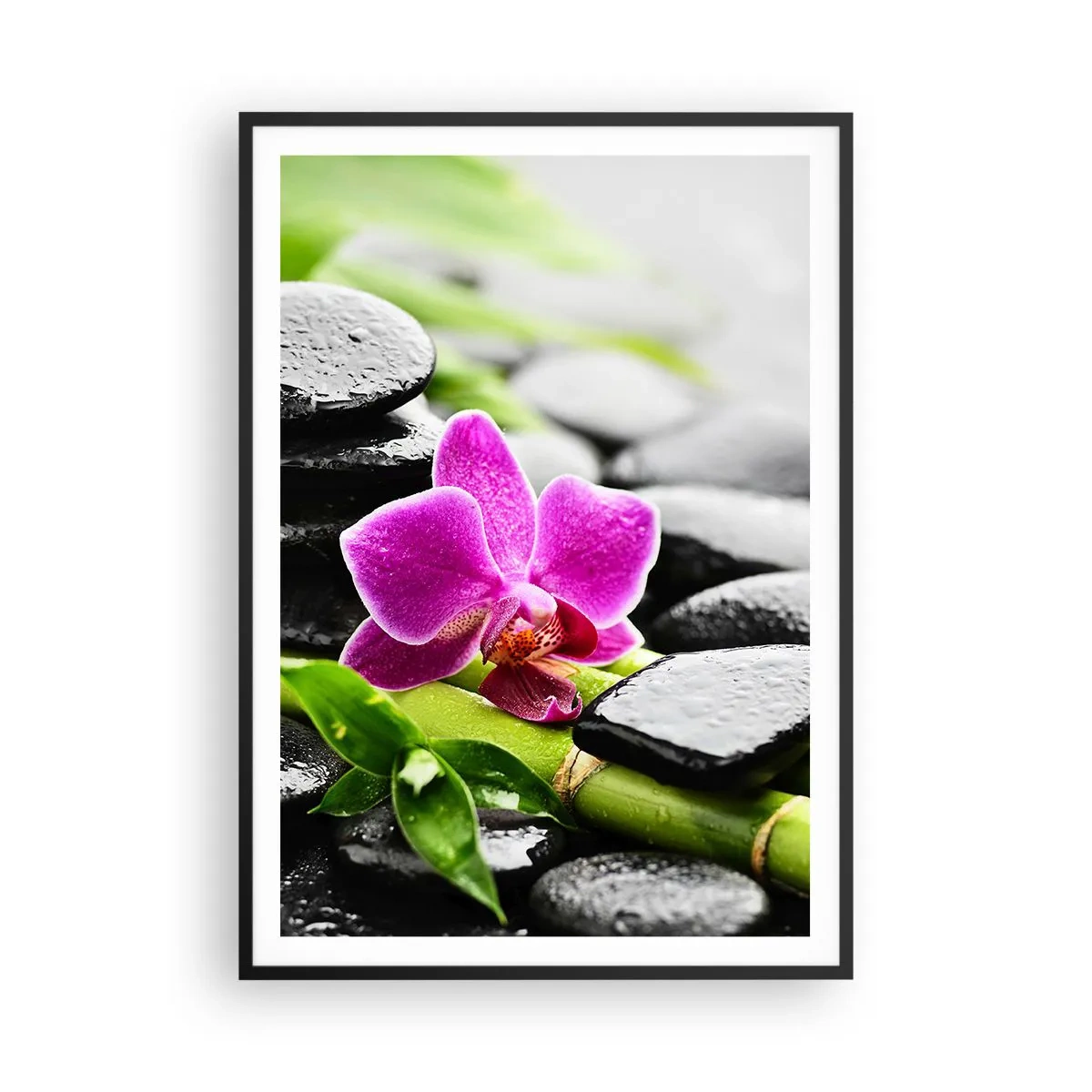 Plakat w czarnej ramie - W spokojnej równowadze - 70x100 cm